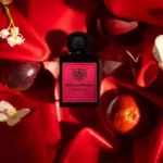 extreme passion lorenzo pazzaglia visual