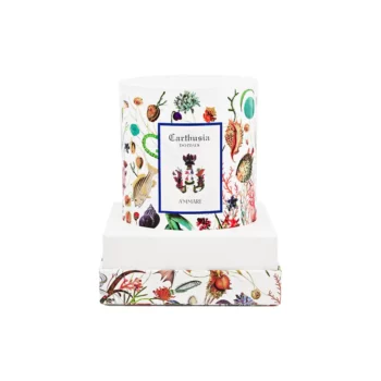 A'mmare Candela 300g_CNBC300MM 2