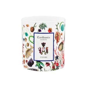 A'mmare Candela 300g_CNBC300MM