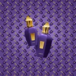 accento xerjoff formati