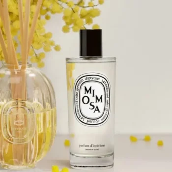 mimosa_visual