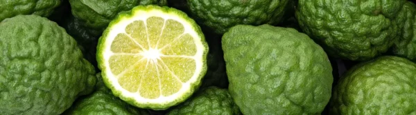 bergamot perfumes freshness in a bottle