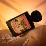 van sea lorenzo pazzaglia visual