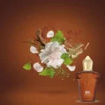 1888 casamorati vision