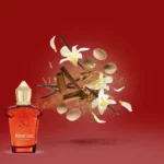 bouquet ideale casamorati vision