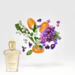 dama bianca casamorati vision