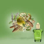 fiero casamorati vision