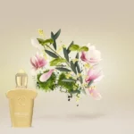 fiore d'ulivo casamorati vision