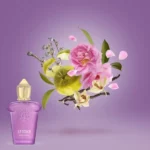 la tosca casamorai vision