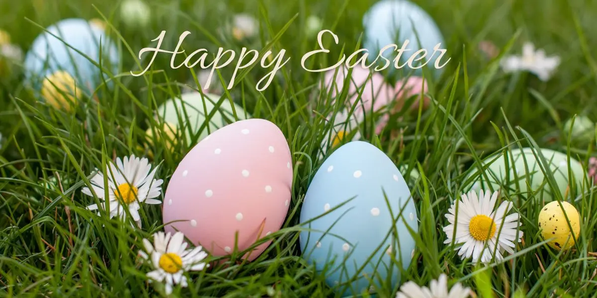 banner home page pasqua