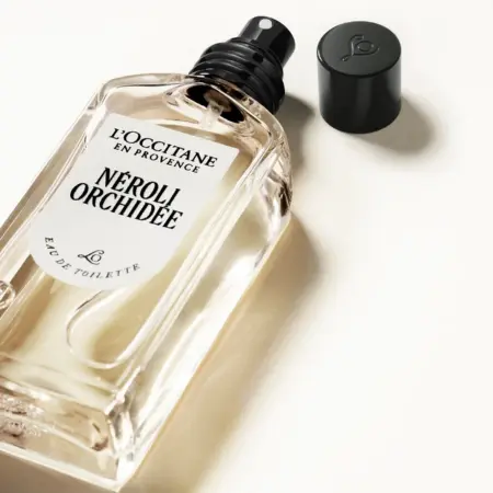 piccole homepage neroli orchidee