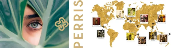 banner_perris_monte_carlo