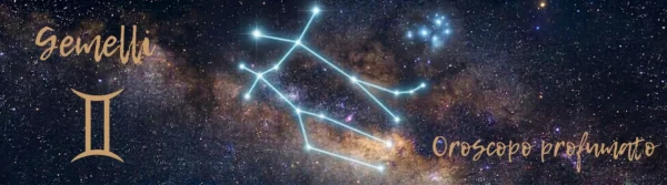 banner_bog_gemelli