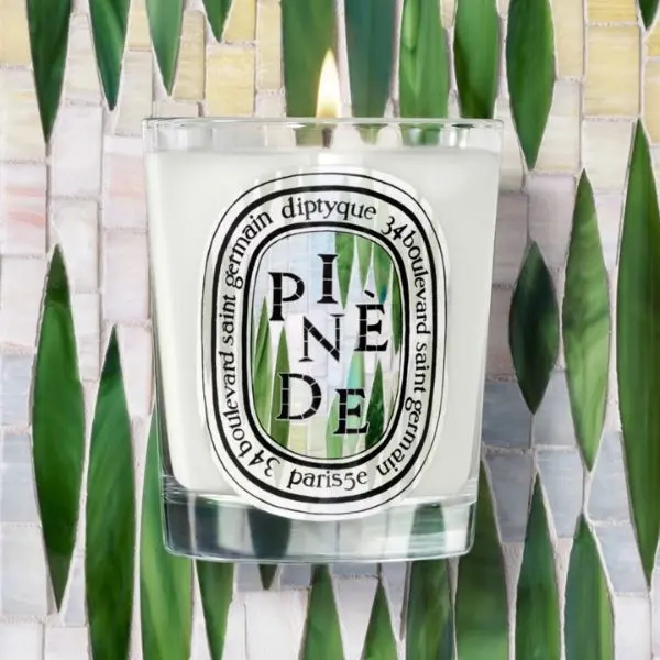 pinède_visual