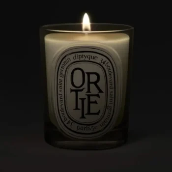 0DIP1NBORT_light