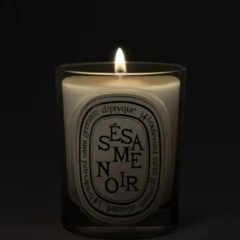 0DIP1NBSES_visual